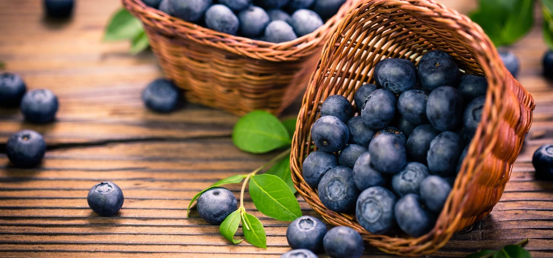 Legjobb áfonyás italok