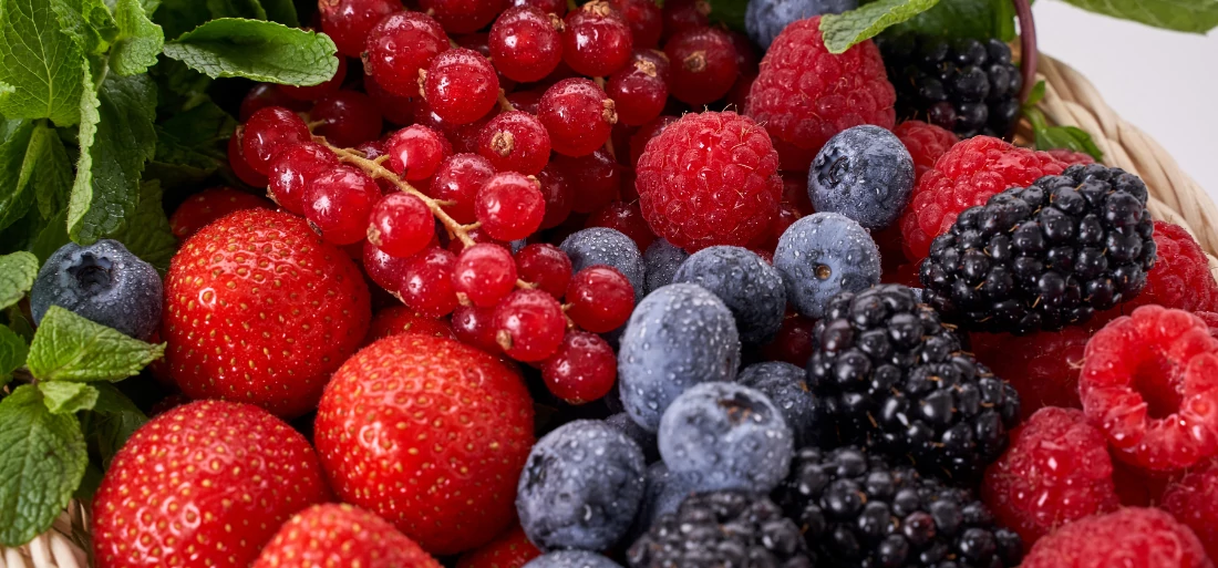 Bogyós gyümölcsös ginek