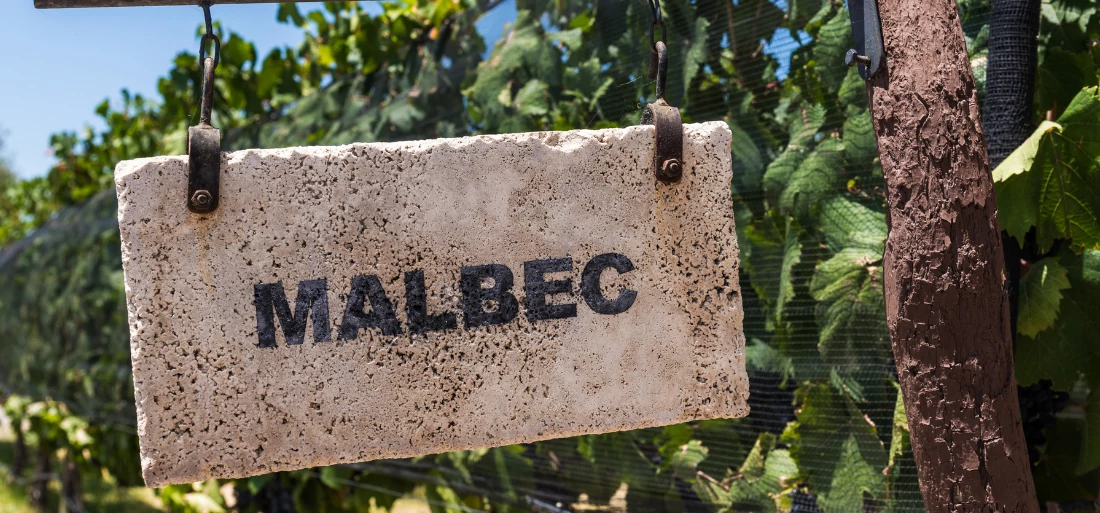 Legjobb Malbec borok