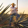Mexikó aranya: a tequila sztorija - 1.rész: Az azték mítoszoktól az érlelésig