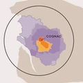 Így caminózna az iDrinks.hu vándora a francia konyakrégiókban!