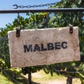 Április 17- Malbecmánia: ez a malbec világnapja!