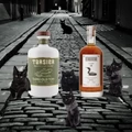 A fekete macska világnapja és az Old Tom gin titkos kapcsolata