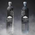 A vodka története
