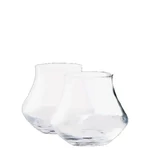 Diplomatico Pohár (1 db)