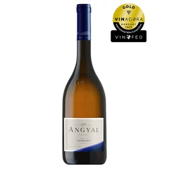Angyal Tokaji Üzenet Top Selection Furmint [0,75L|2023]