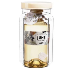 June by G&#039;Vine Wild Peach Gin (Party Jar) [0,7L|37,5%]