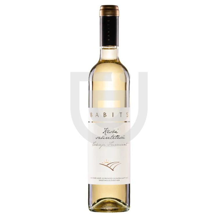 Qin jinsiy aloqa tovushini chiqaradi