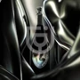Dom Perignon Lady Gaga Edition Champagne (DD) [0,75L|2010]
